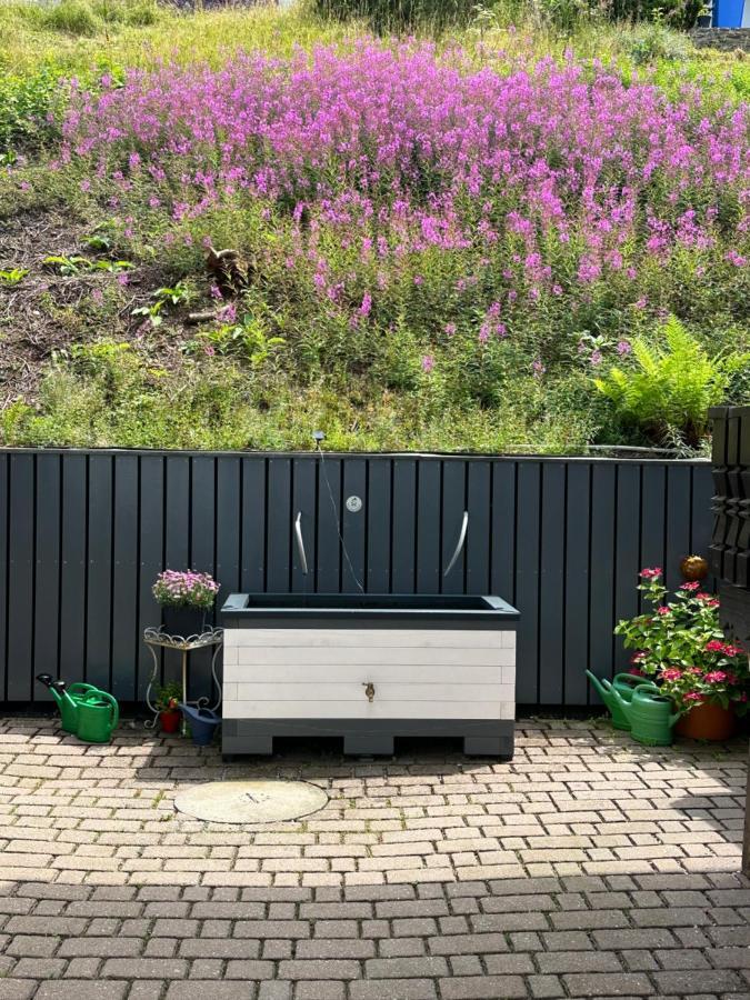 Modernes Top Apartment Mitten Im Bayerischen Wald + Wlan Kostenfrei Schöfweg Dış mekan fotoğraf