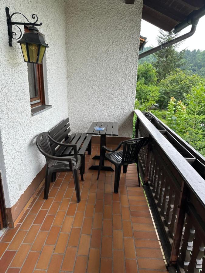 Modernes Top Apartment Mitten Im Bayerischen Wald + Wlan Kostenfrei Schöfweg Dış mekan fotoğraf
