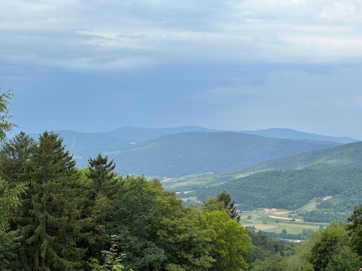 Modernes Top Apartment Mitten Im Bayerischen Wald + Wlan Kostenfrei Schöfweg Dış mekan fotoğraf